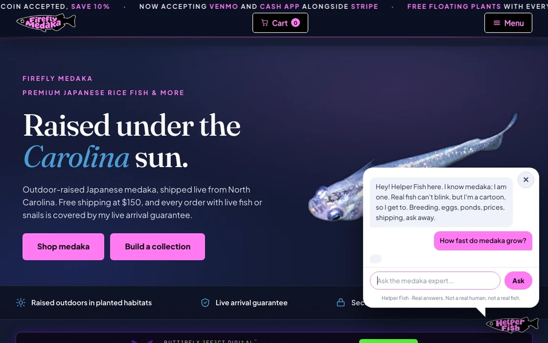 Firefly Medaka’s home page on a desktop browser: fireflies drift over the hero, then Helper Fish opens and answers a typed question
