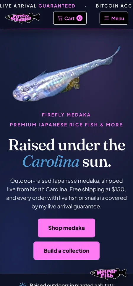 Phone screenshot of the Firefly Medaka fish store