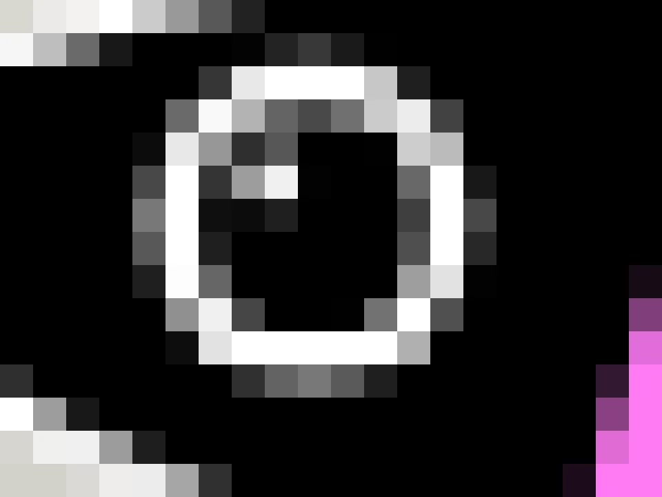 Close-up of the fish’s eye as a low-resolution image: the ring and highlight are blocks of gray and white pixels